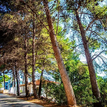 Malibu & Lassi (Kefalonia)