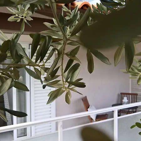 Apartment Malibu &