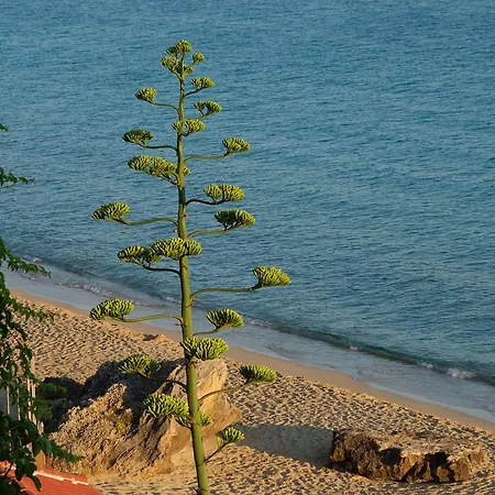 Malibu & Lassi (Kefalonia)
